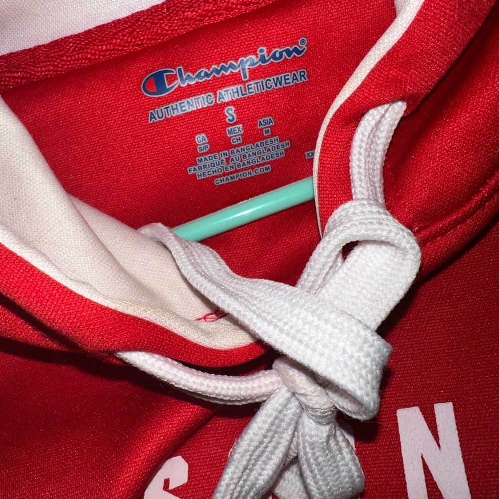 Mens Small Champion Wisconsin Badgers Hoodie